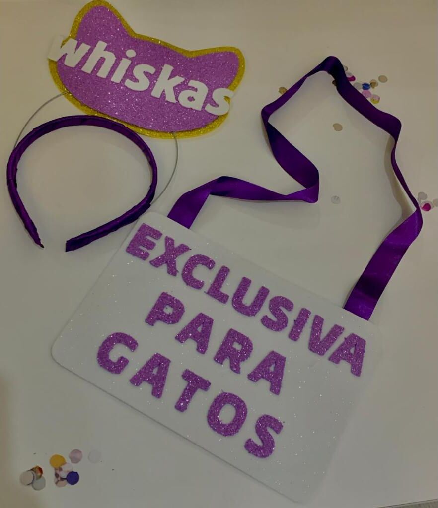 whiskas-e1741293318842.jpg